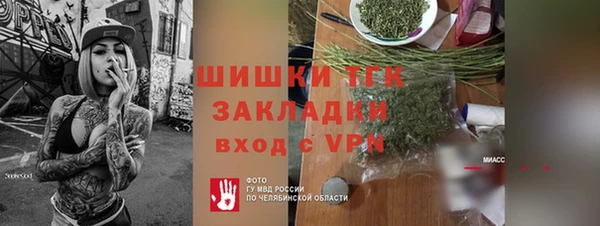дмт Каменка