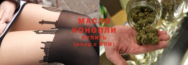 дмт Каменка