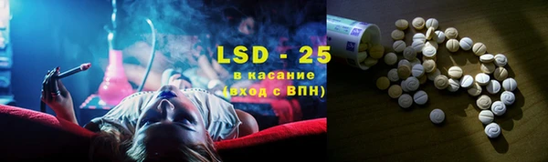 дмт Каменка