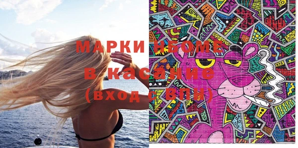 дмт Каменка