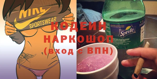 дмт Каменка