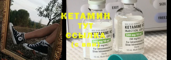 дмт Каменка