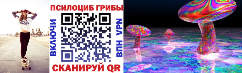 Купить где  Видное  Псилоцибиновые грибы Magic Shrooms 
